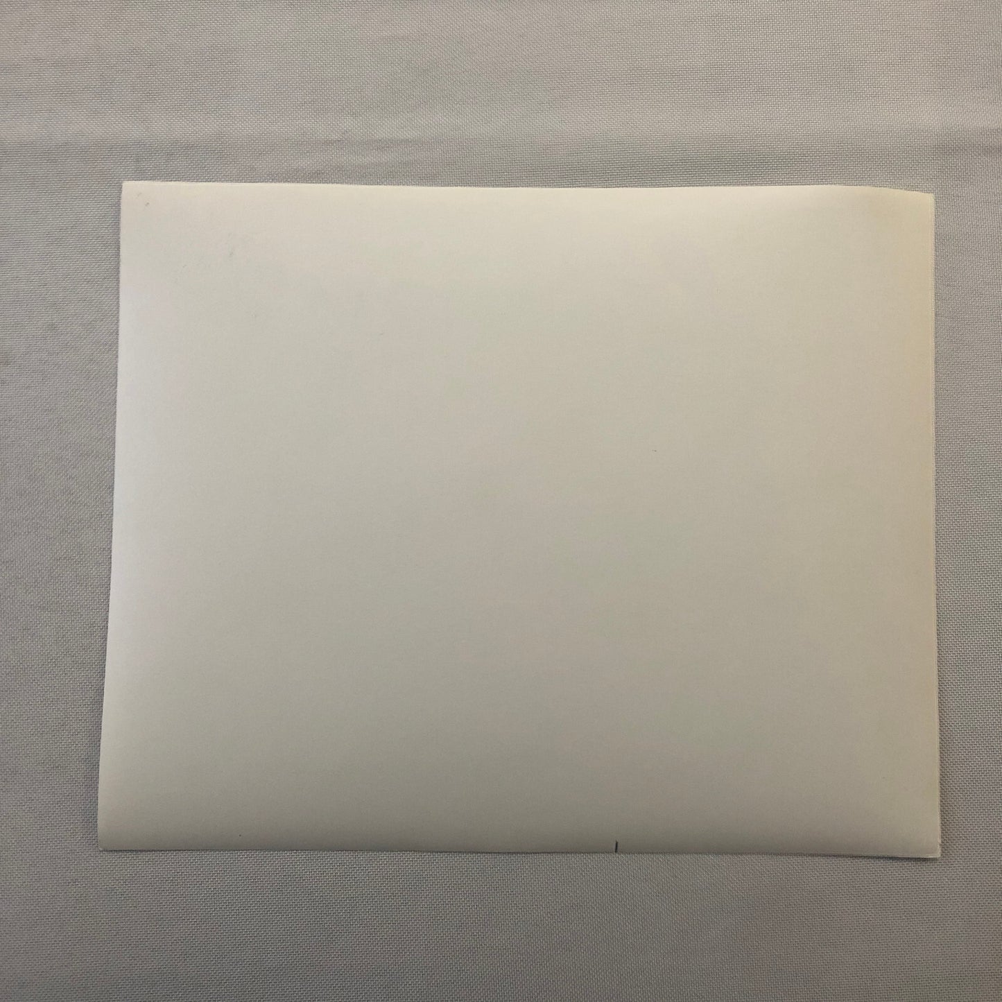 Walt Disney Fantasia Movie Film Press Photo Photograph Mickey Mouse Dinosaurs