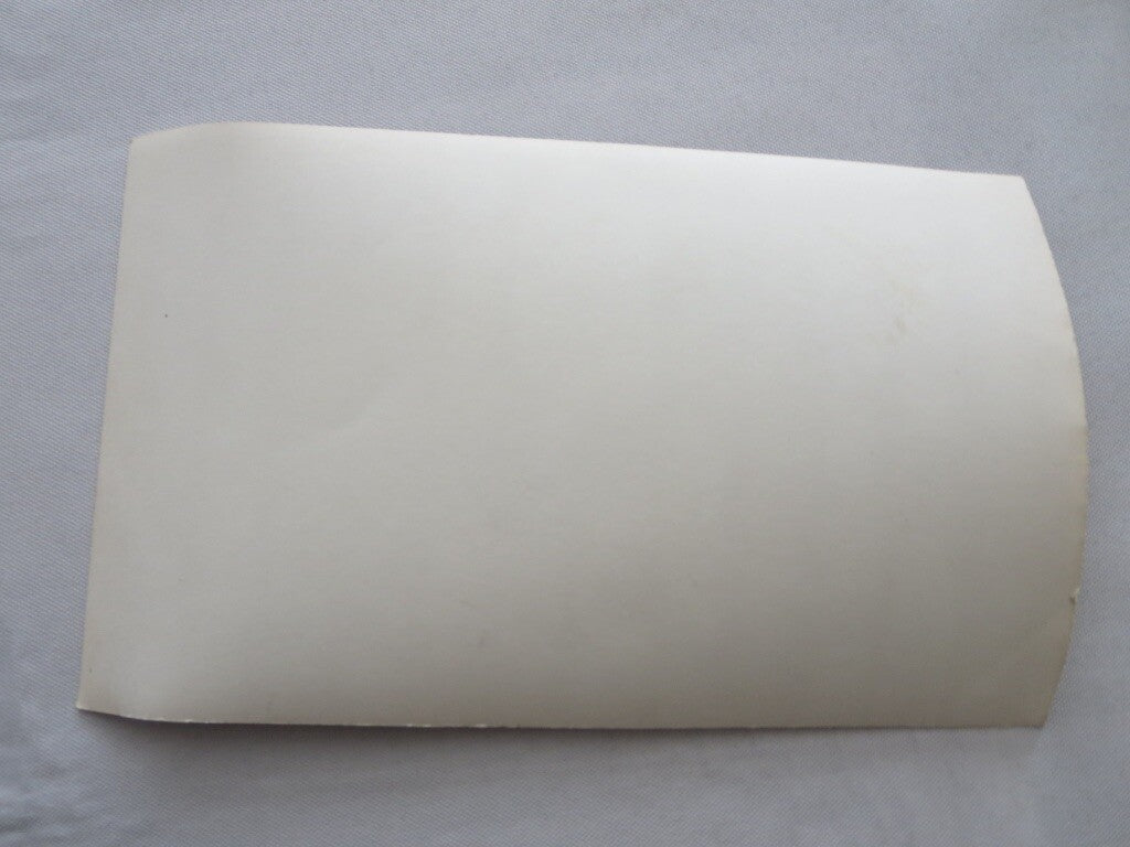 Vintage Fire Department Company Photo Photograph - 23 Firefighters - Canadian