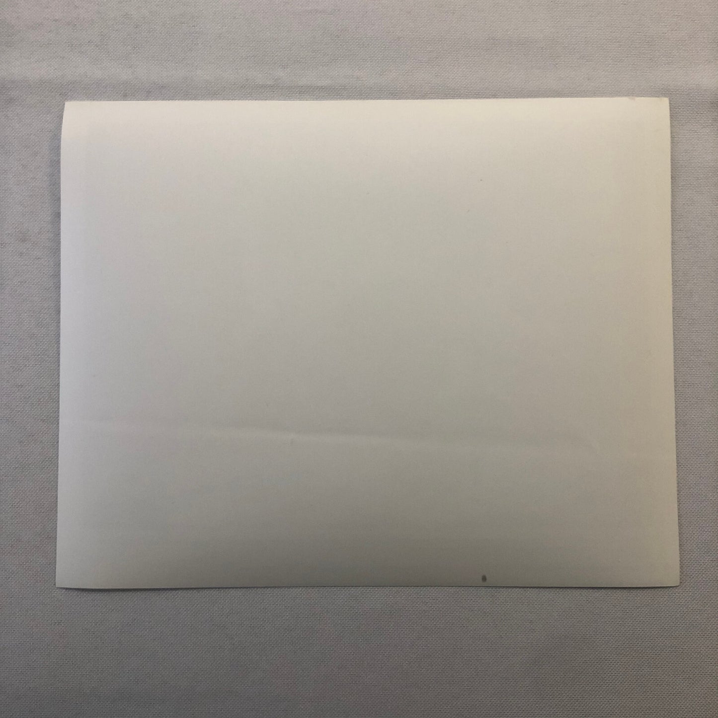 Bambi Flower Thumper Movie Film Re-Release Press Photo Photograph Walt Disney