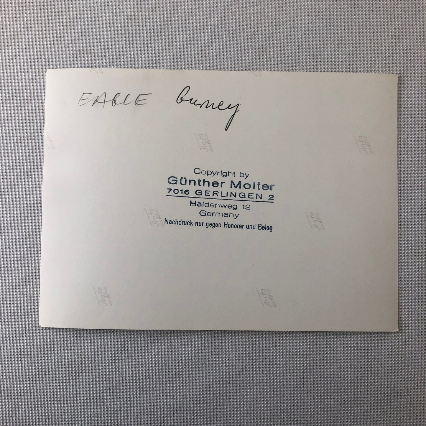 Dan Gurney Eagle Car Grand Prix Racing Car Driver Photo Photograph Vintage