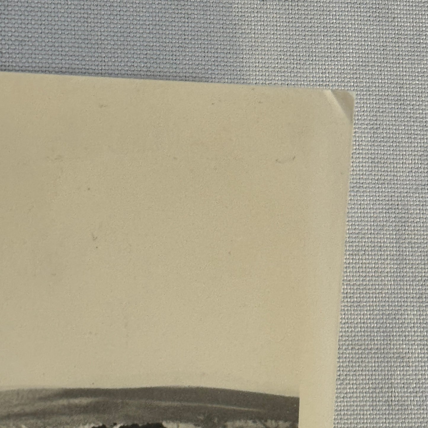 Vintage Volkswagen VW Beetle Bug Photo Photograph Super Beetle with 1949