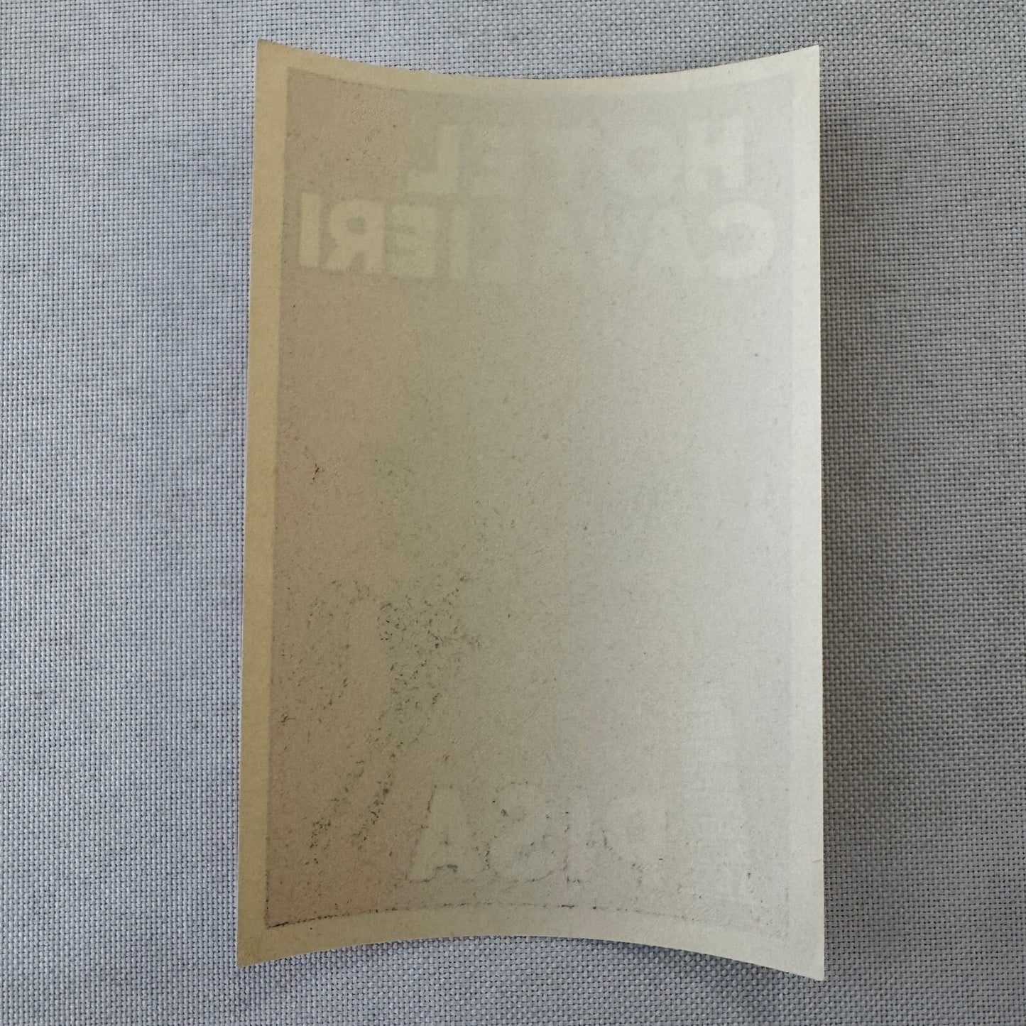Vintage Hotel Travel Luggage Label Hotel Dei Cavalieri Pisa Italy Italian