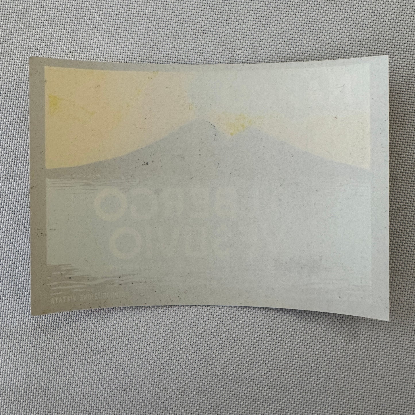 Vintage Hotel Travel Luggage Label Hotel Albergo Vesuvio Napoli Naples Italy