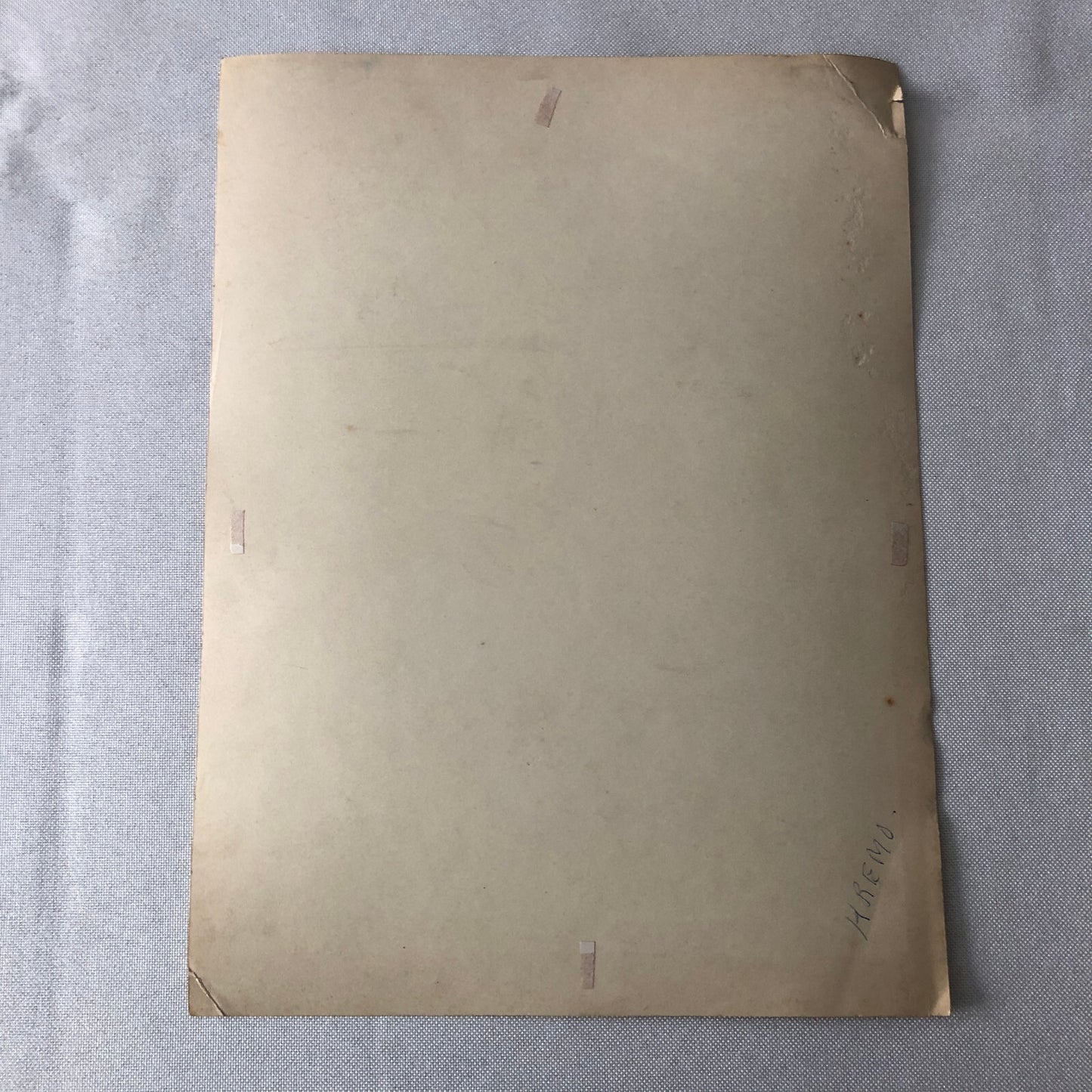 Circus or Dance Performer Photo Photograph Dancer Acrobat Geschwister Darras