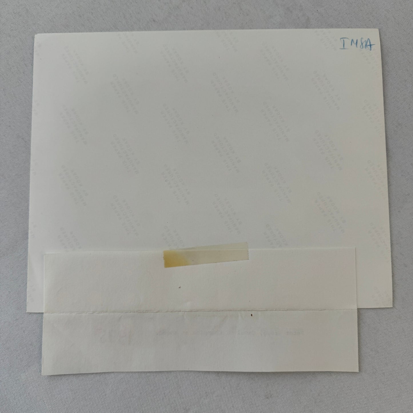 Porsche 911 Racing Photo Photograph 1975 Camel GT Race Peter Gregg