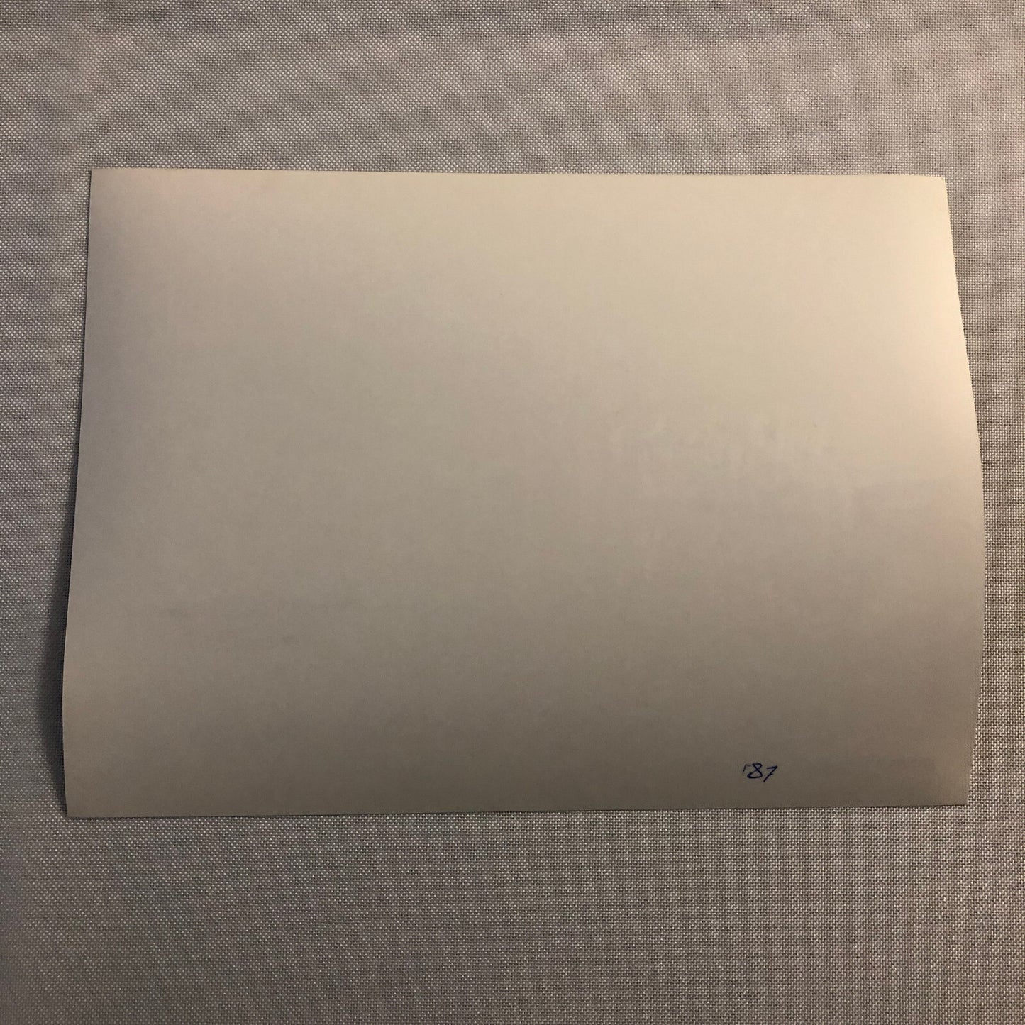 1987 Porsche 911 Speedster Clubsport Variant Photo Photograph Print