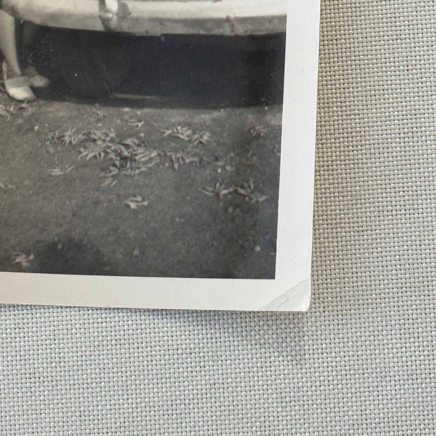 Vintage Photograph Photo Print Woman with Car Automobile