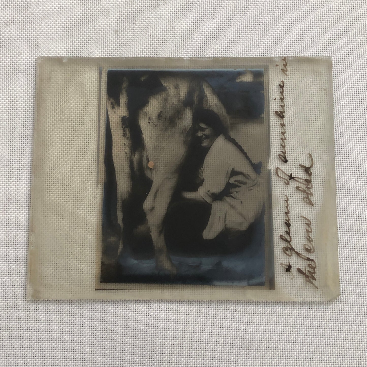 Antique Glass Plate Photo Slide Positive Woman Milking Cow Farm Barn