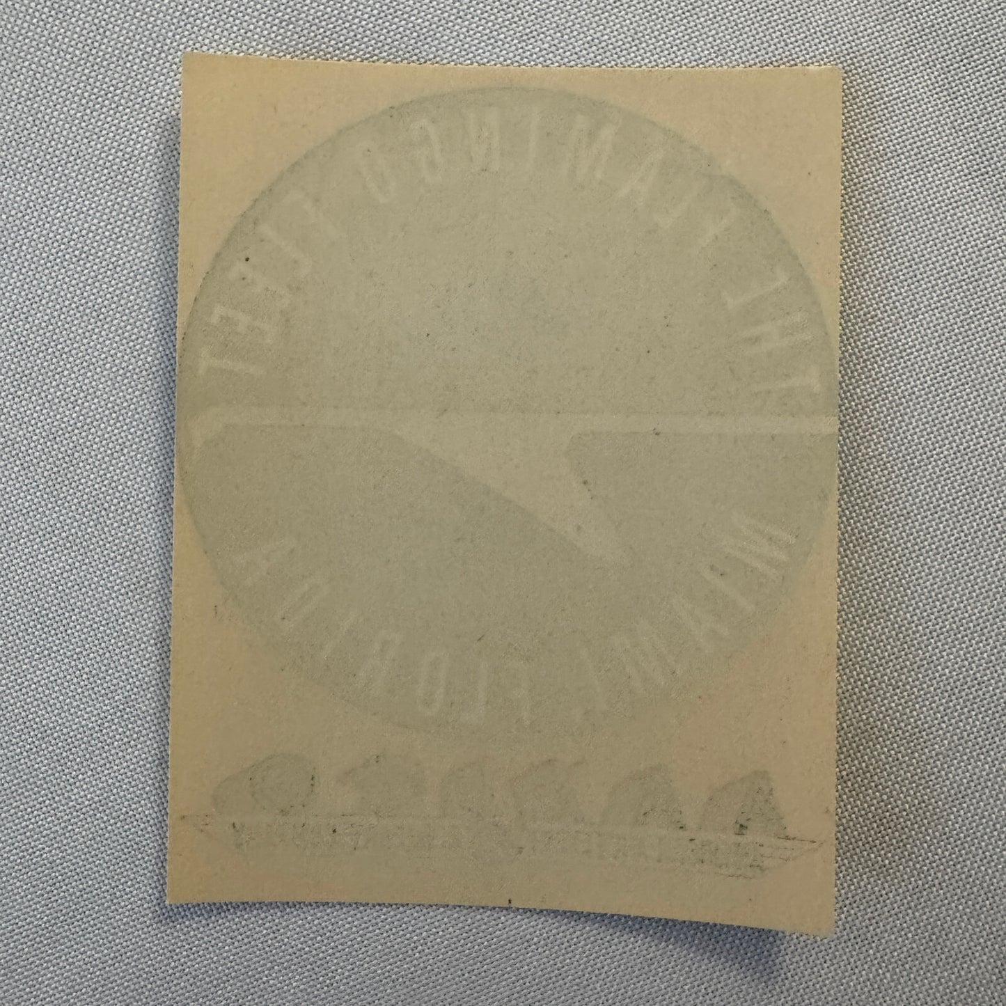 Vintage American Air Export Flamingo Fleet Aircraft Luggage Label Miami Florida