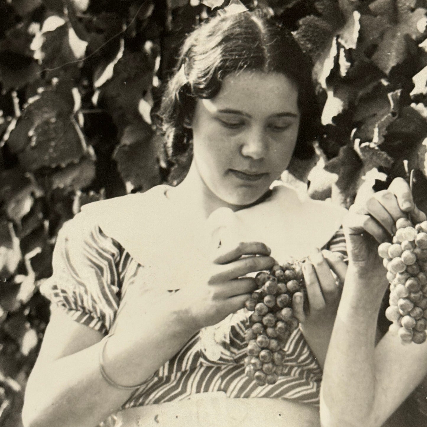 Paris Young Women with Grapes Kings Auction 1934 Press Photo Agence Trampus