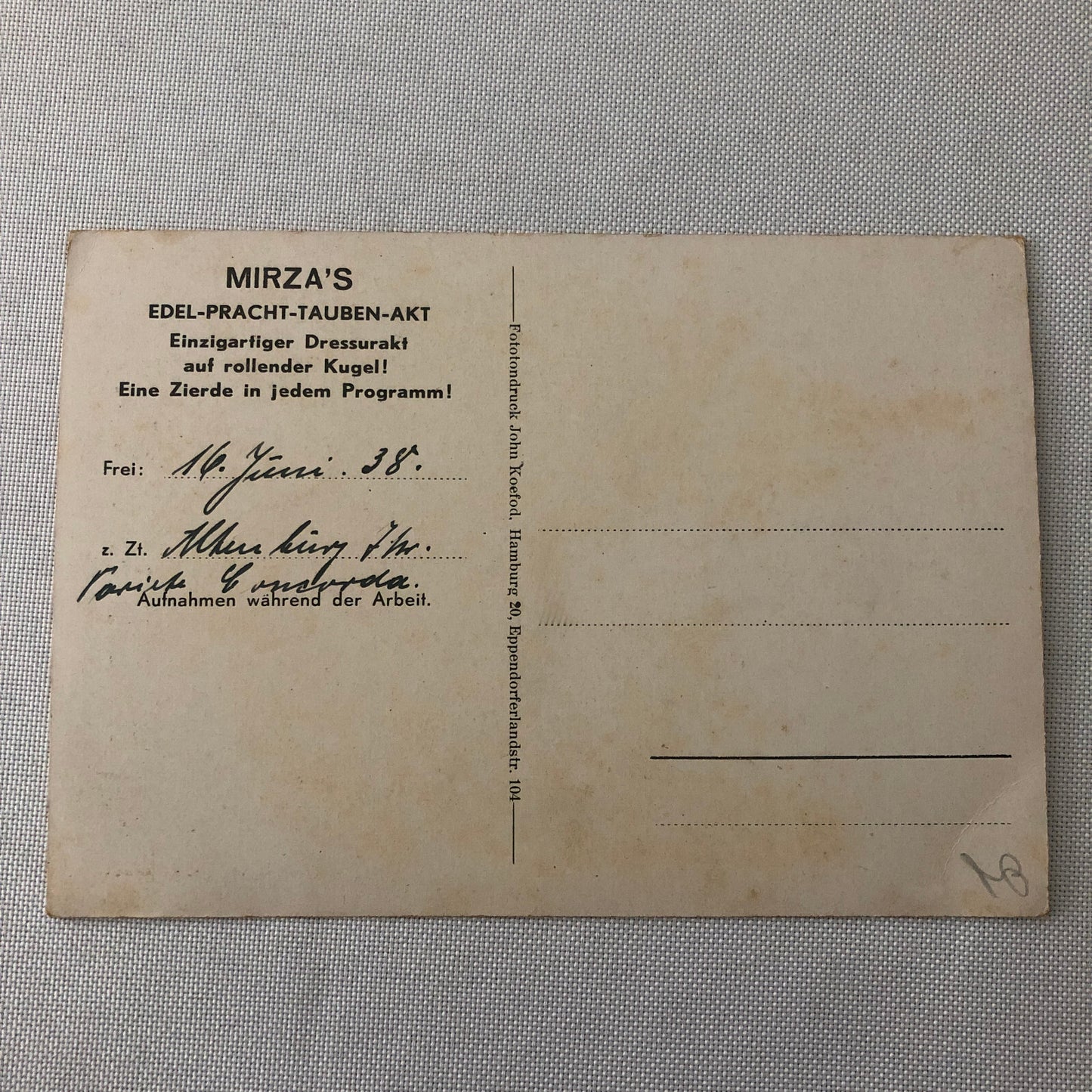 Circus Bird Training Act Postcard Post Card Vintage Mirza's Pracht Tauben Akt