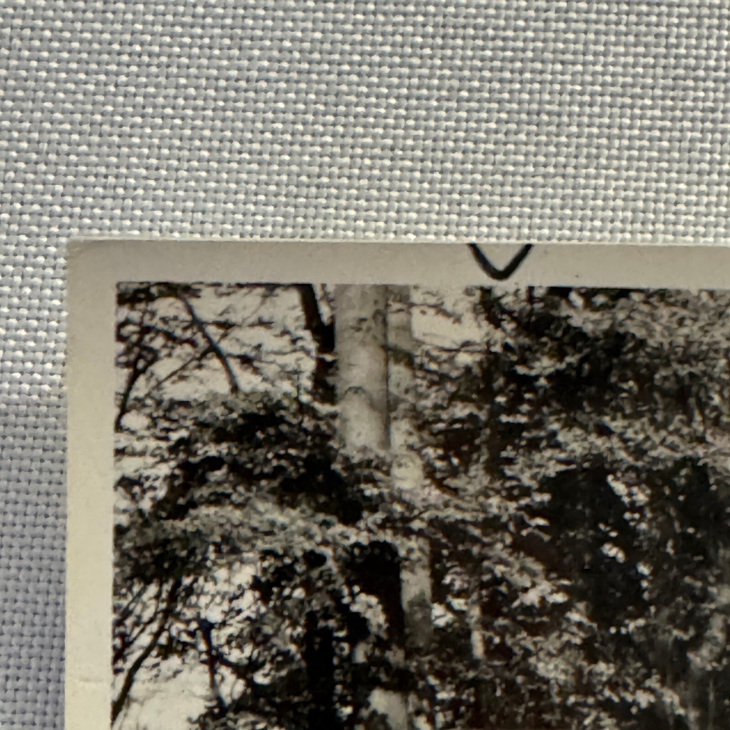 Vintage Photo Photograph Snapshot Porsche 911 with Mercedes Benz Car