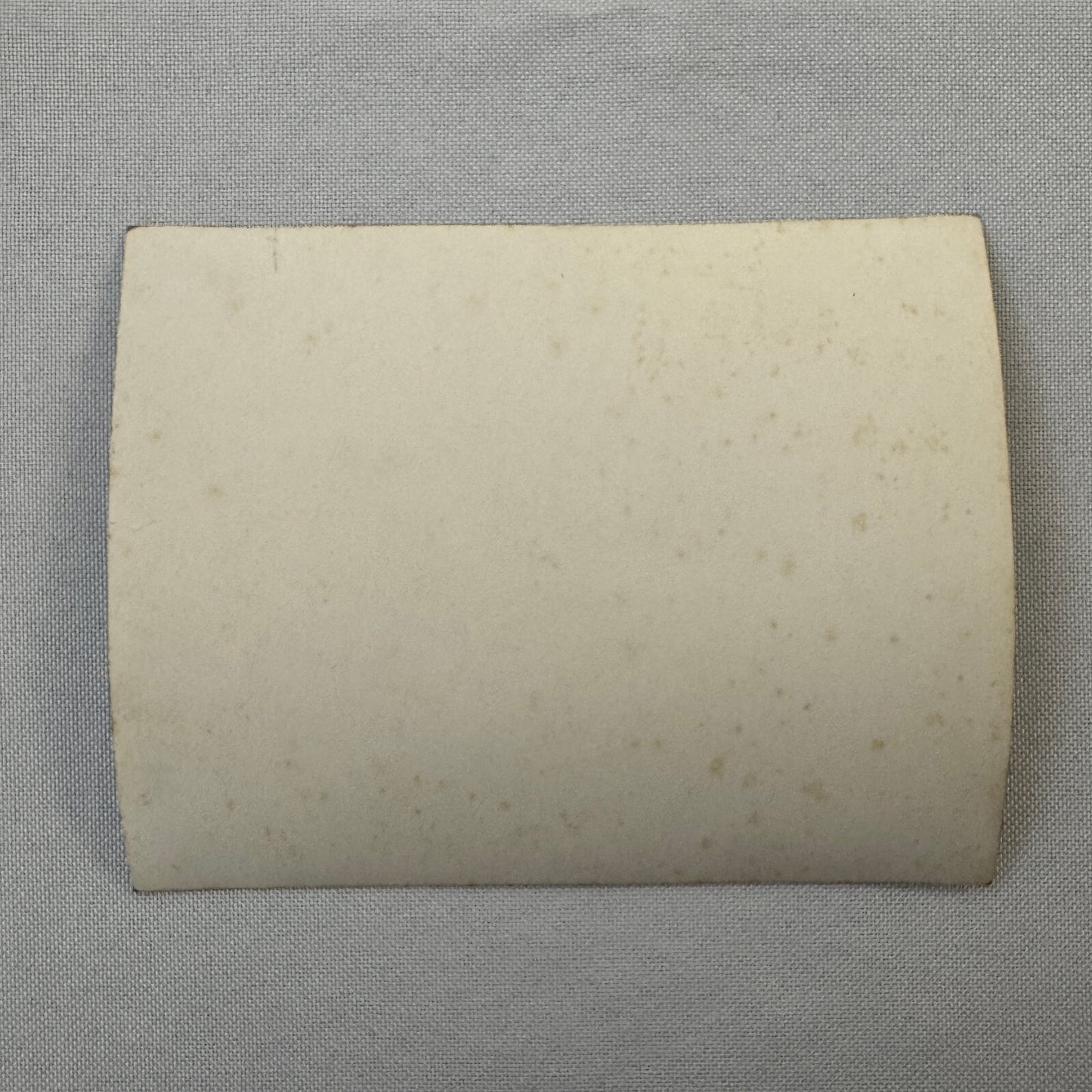 Vintage Circus Rollerskating Roller Skate Act Photo Photograph