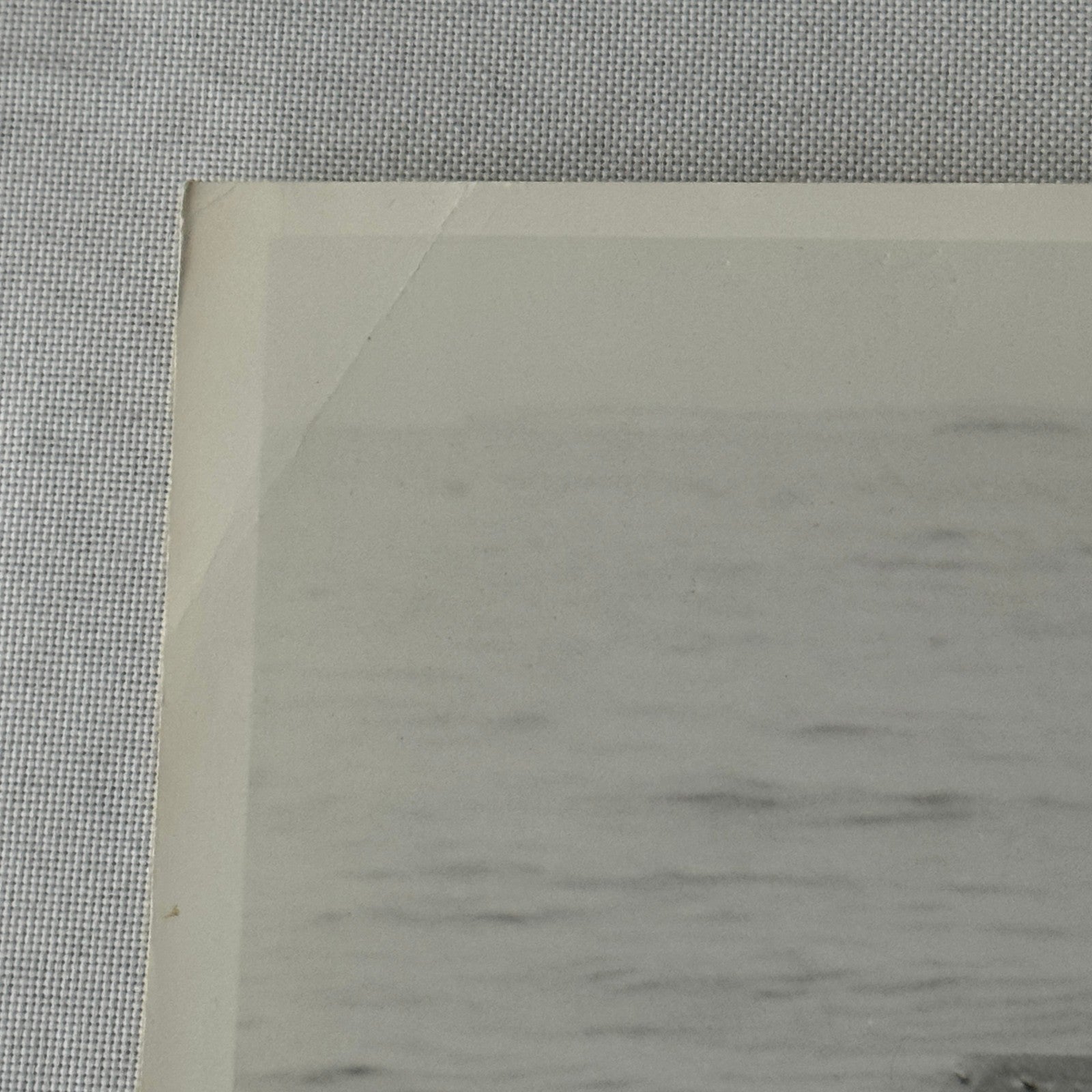 Vintage Movie Still Press Photo Photograph Namu the Killer Whale 1966