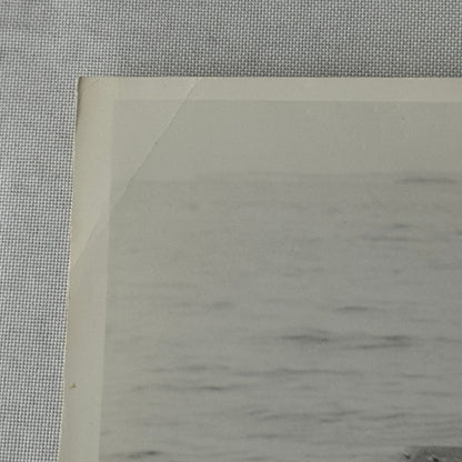 Vintage Movie Still Press Photo Photograph Namu the Killer Whale 1966