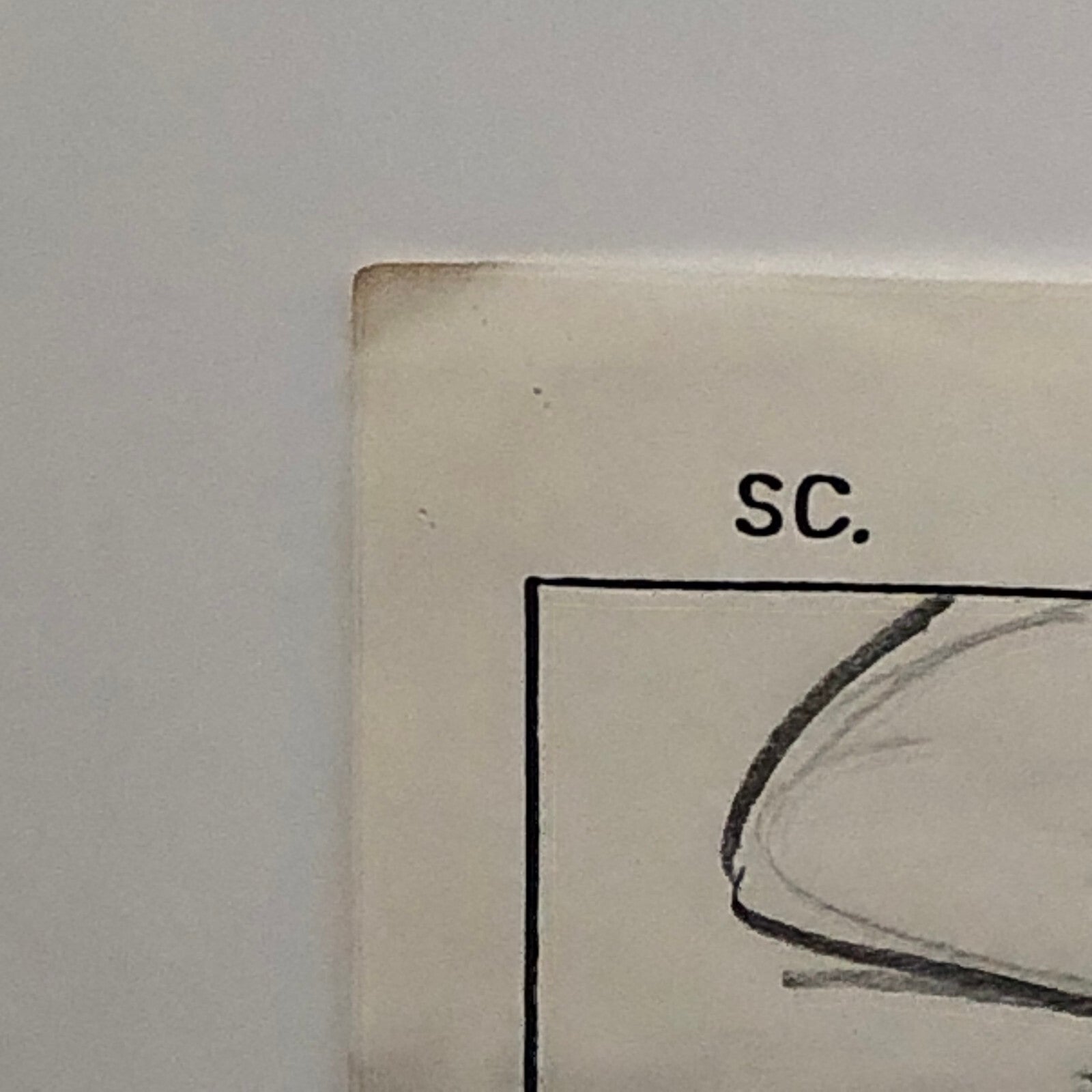 ANIMANIACS Animation Storyboard Illustration Drawing Sketch Story Board Art