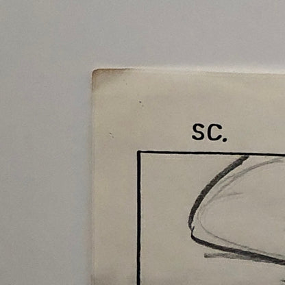 ANIMANIACS Animation Storyboard Illustration Drawing Sketch Story Board Art