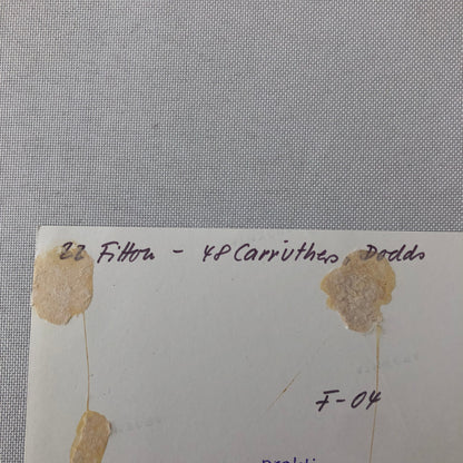 Vintage Motorcycle Racing Photo photograph Bikes