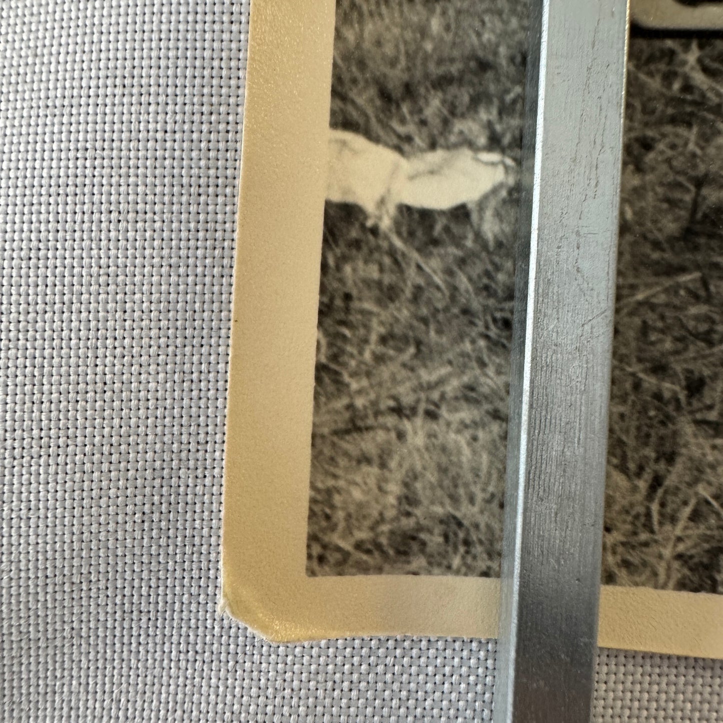 Vintage Volkswagen VW Beetle Convertible Cabriolet Photo Photograph Print