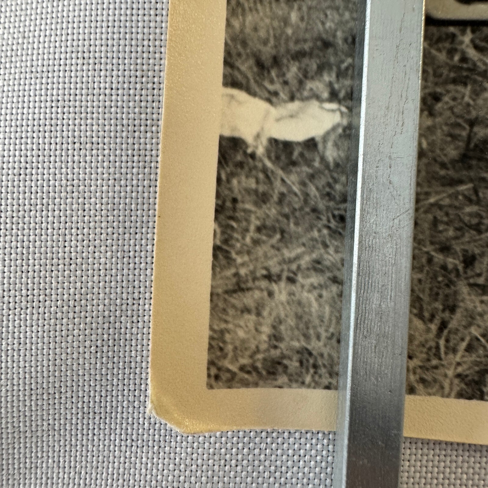 Vintage Volkswagen VW Beetle Convertible Cabriolet Photo Photograph Print