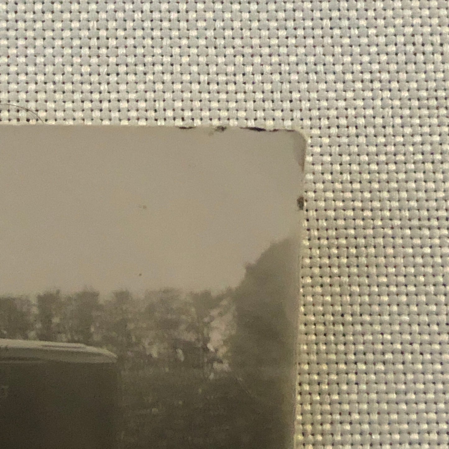 Vintage Dog Photo German Shepherd Car Woman Automobile Photograph AL22SM1
