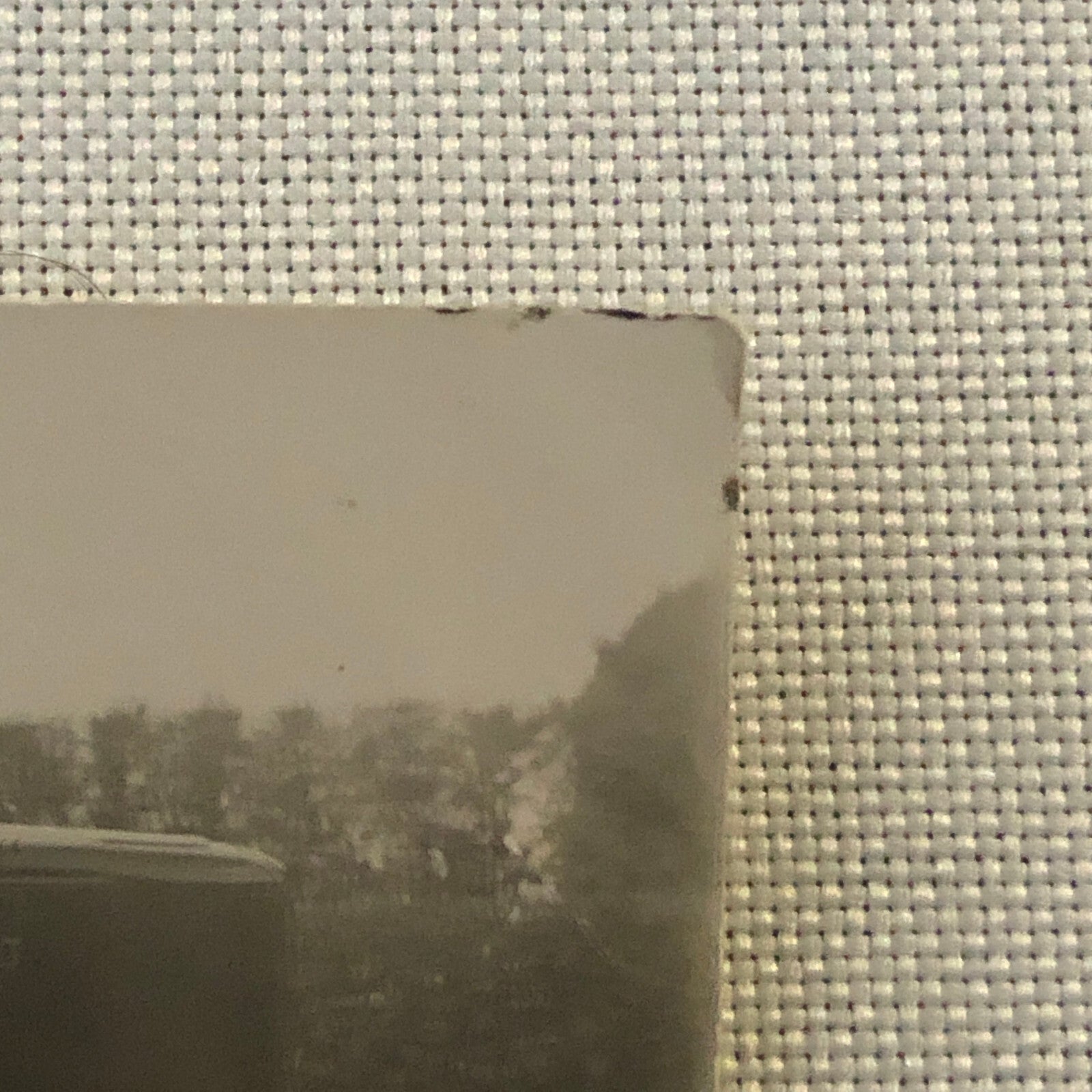 Vintage Dog Photo German Shepherd Car Woman Automobile Photograph AL22SM1