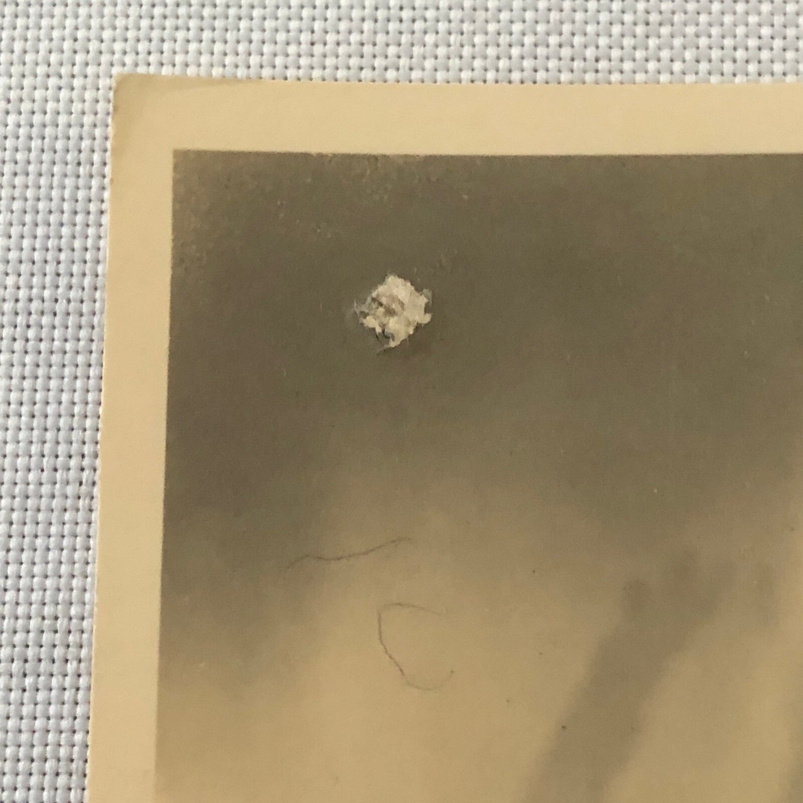 Circus Performer Clown Unicycle Real Photo Postcard RPPC L.G. Halter Comedy