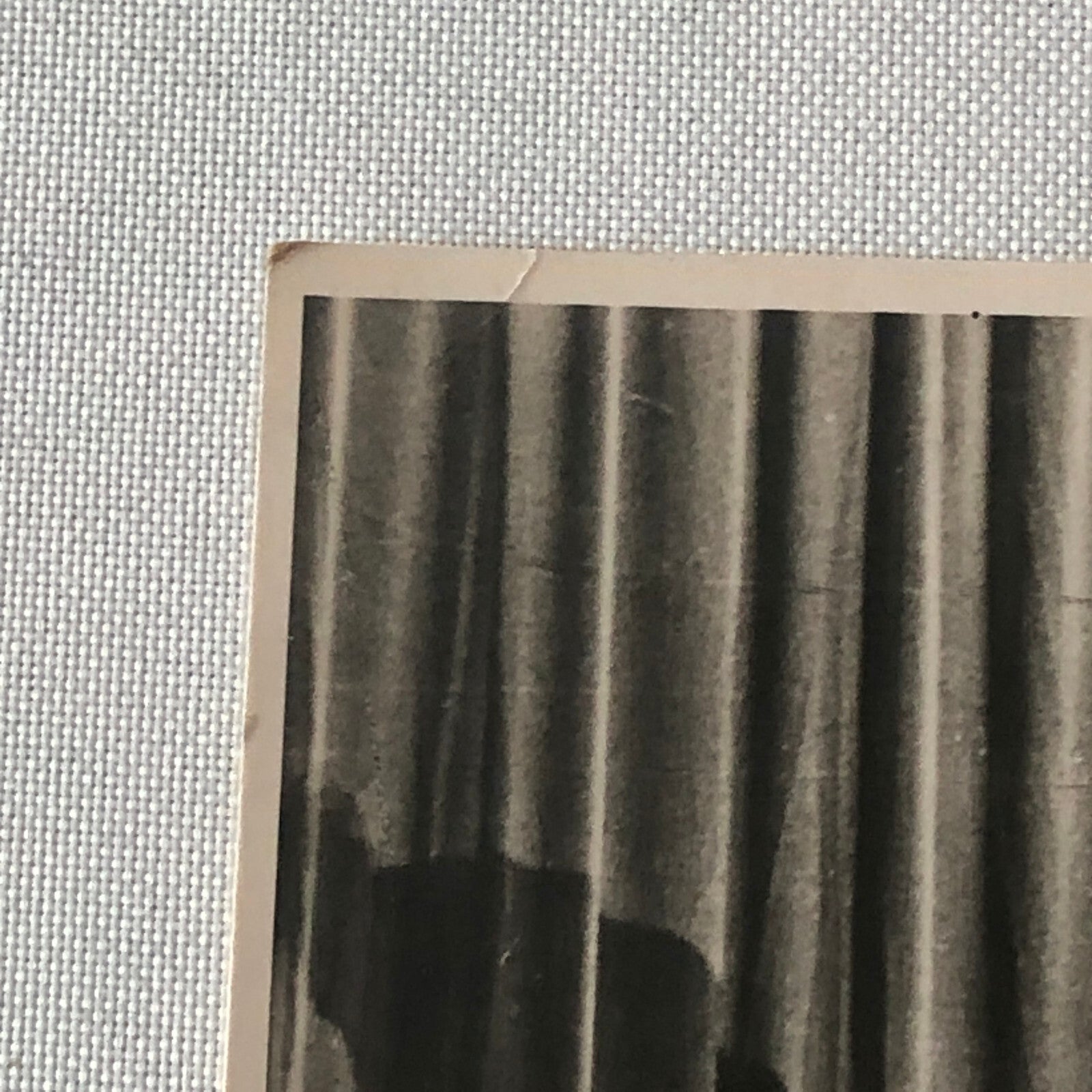 Circus Performer Act Bicycle Stunt Photo Photograph 3 Saytons Vintage