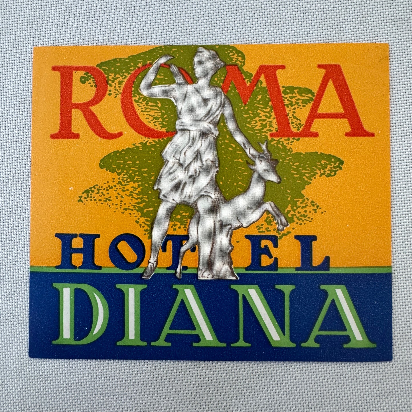 Vintage Hotel Travel Luggage Label Hotel Diana Roma Rome Italy Italian