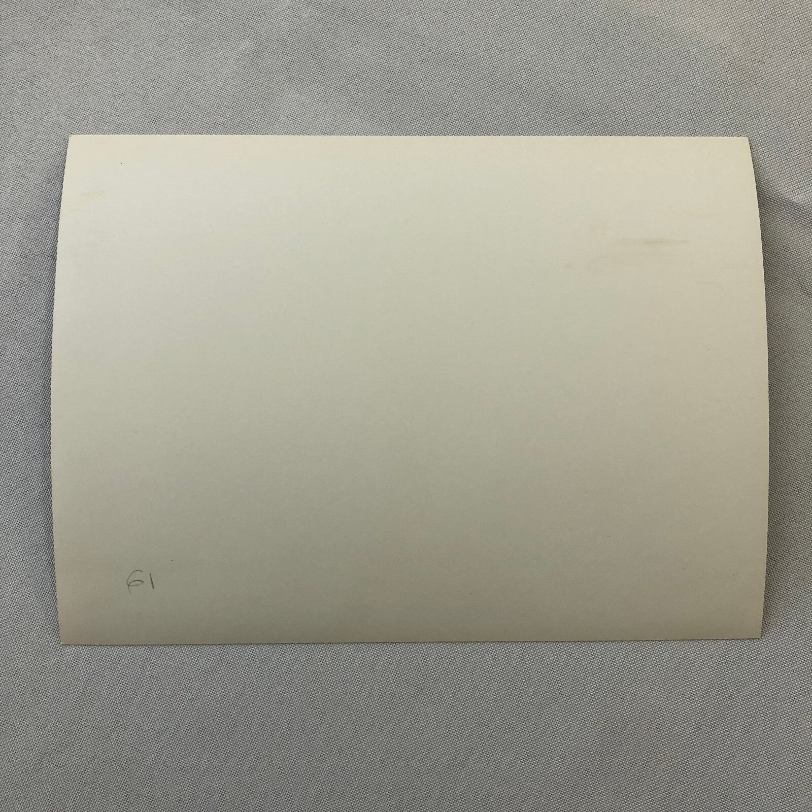 Volkswagen VW Factory Press Photo Photograph Print 1961