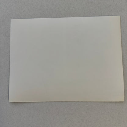 Rothmans Porsche Racing Driver Photo Photograph Jochen Mass Ekkehard Kiefer