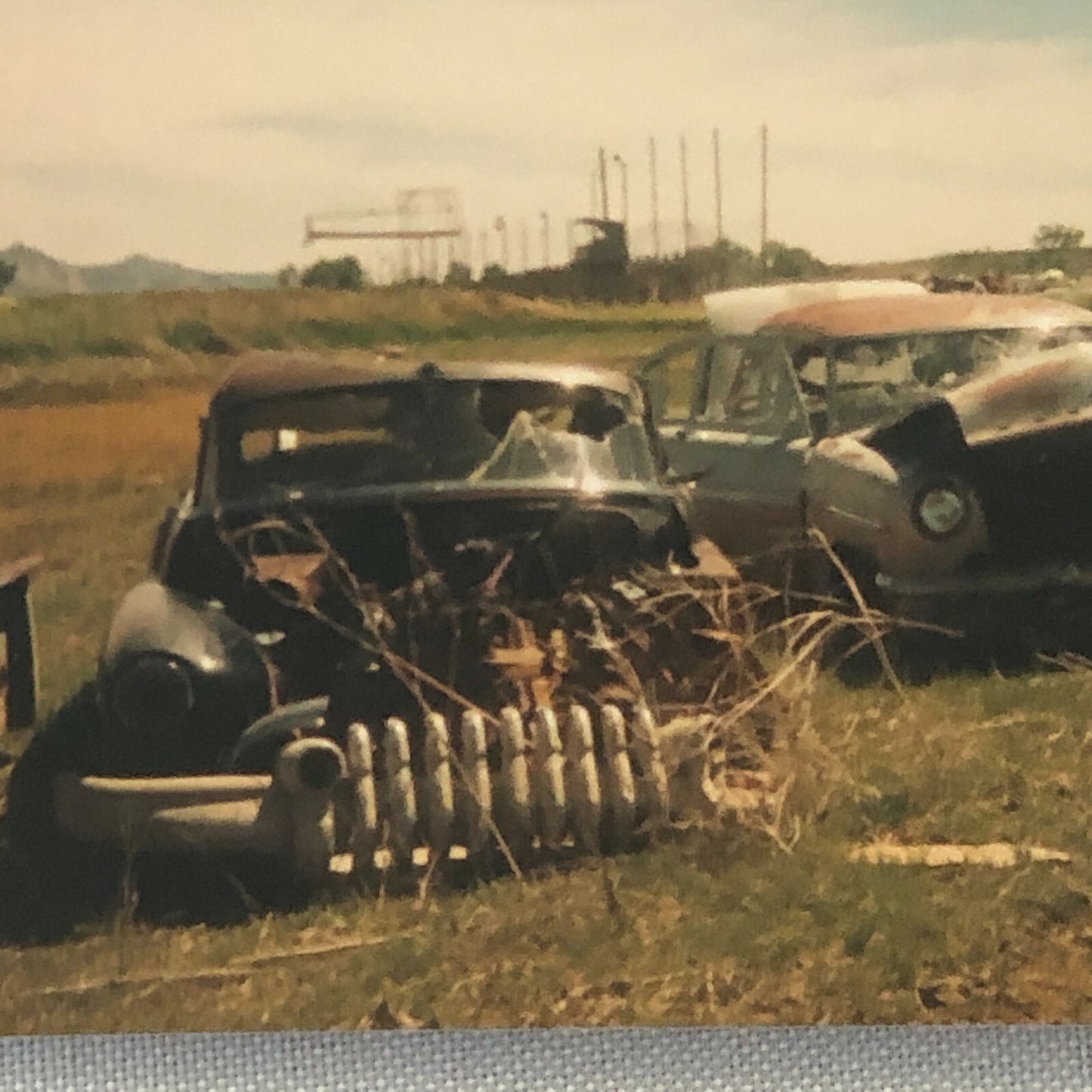 Vintage Junkyard Car Photo Photograph Print - 1950 Buick Special + 
