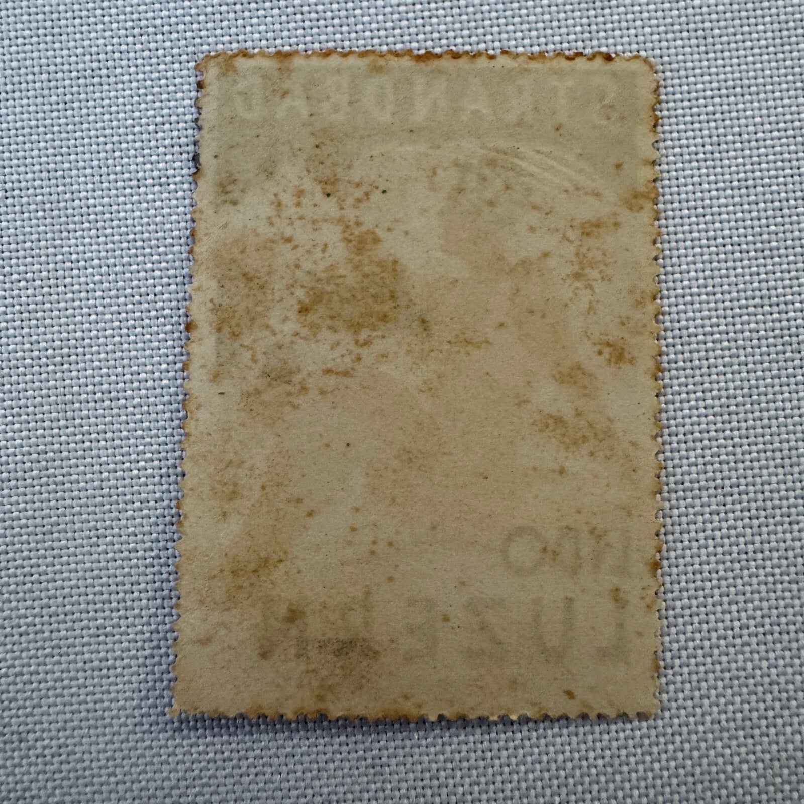 Vintage Travel Stamp Strandbad Lido Luzern Switzerland Swiss Bathing Suit