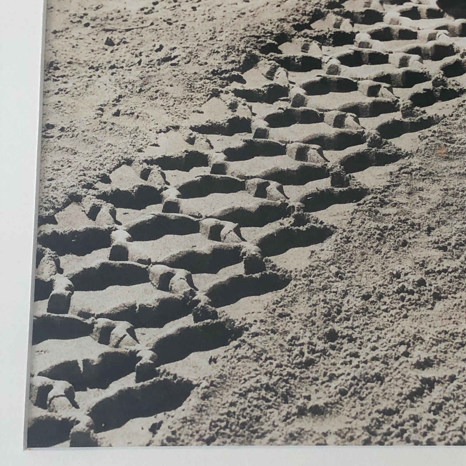 Vintage Art Photograph Automobile Tire on Sand - Possibly Advertising Framed 