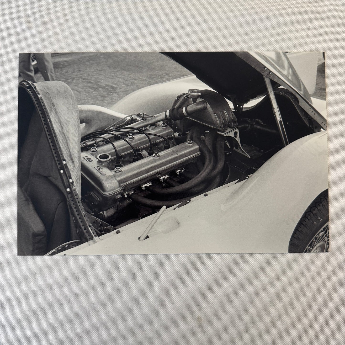 Abarth Alfa Romeo 1100 Pininfarina at Monza 1957 Vintage Photo Modern Print