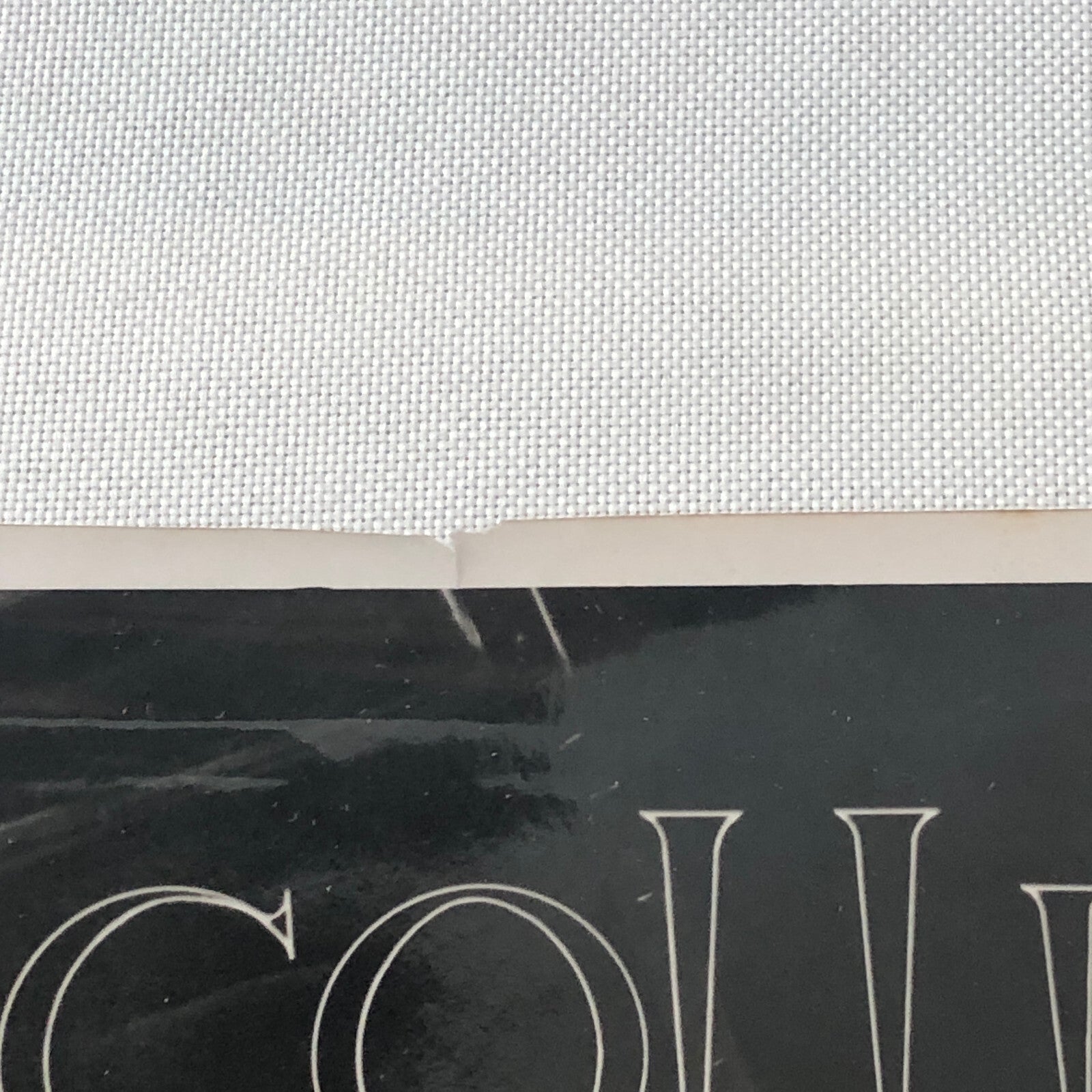 Circus Performer Wild West Show Rope Act Troupe Collins Vintage Photo German