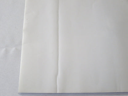 1971 Mercury Montego Sportshauler Concept Car with Models Photo Photograph Lot 