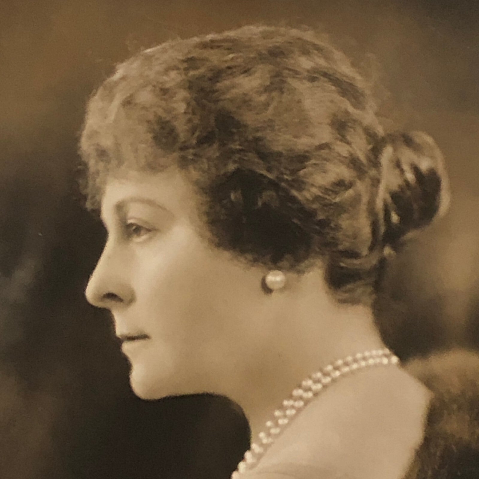 Press Photo Photograph Bankers Wife Society Lady Fined Underwood Photo 1924