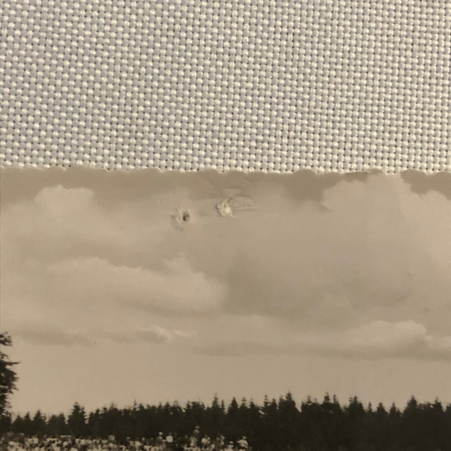 Vintage Porsche Racing Photo Postcard Post Card Photograph Nurburgring