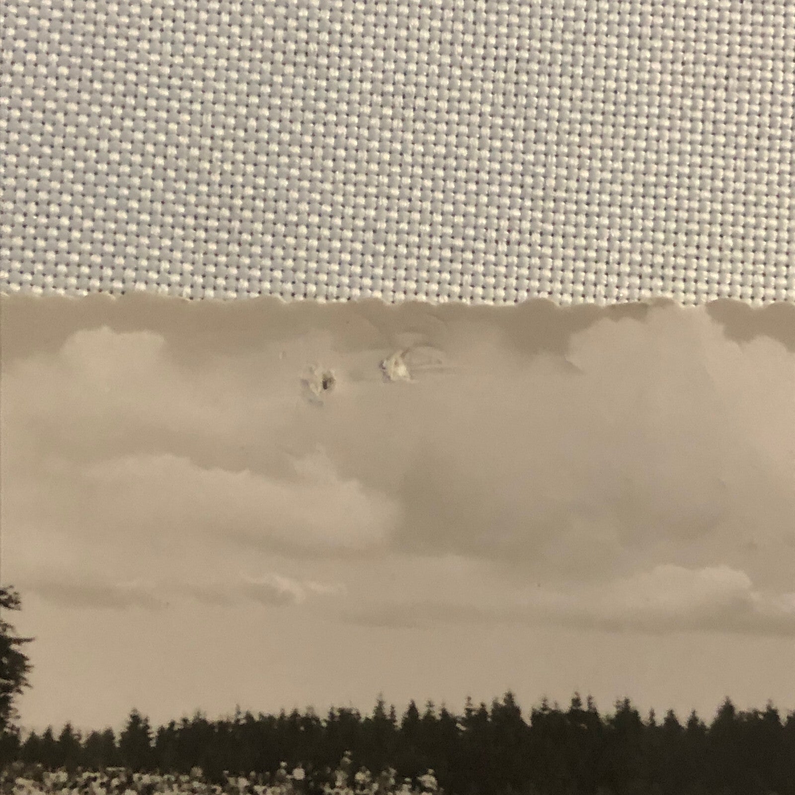 Vintage Porsche Racing Photo Postcard Post Card Photograph Nurburgring