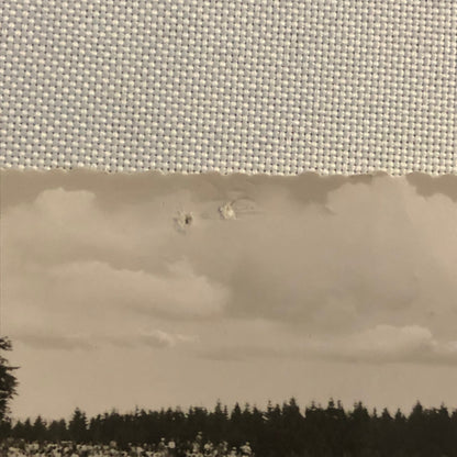 Vintage Porsche Racing Photo Postcard Post Card Photograph Nurburgring