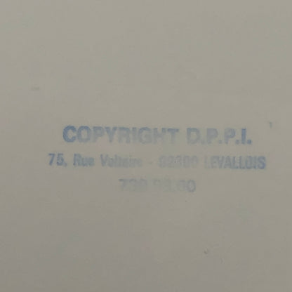 1980 Transafrica Rally Rallye Photo Photograph DPPI Truck