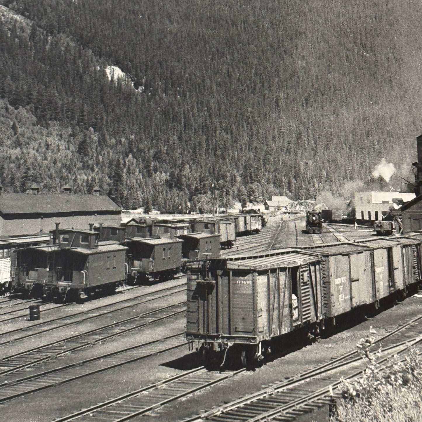 Vintage Train Railway Rail Photo Photograph CPR Yard Field British Columbia BC