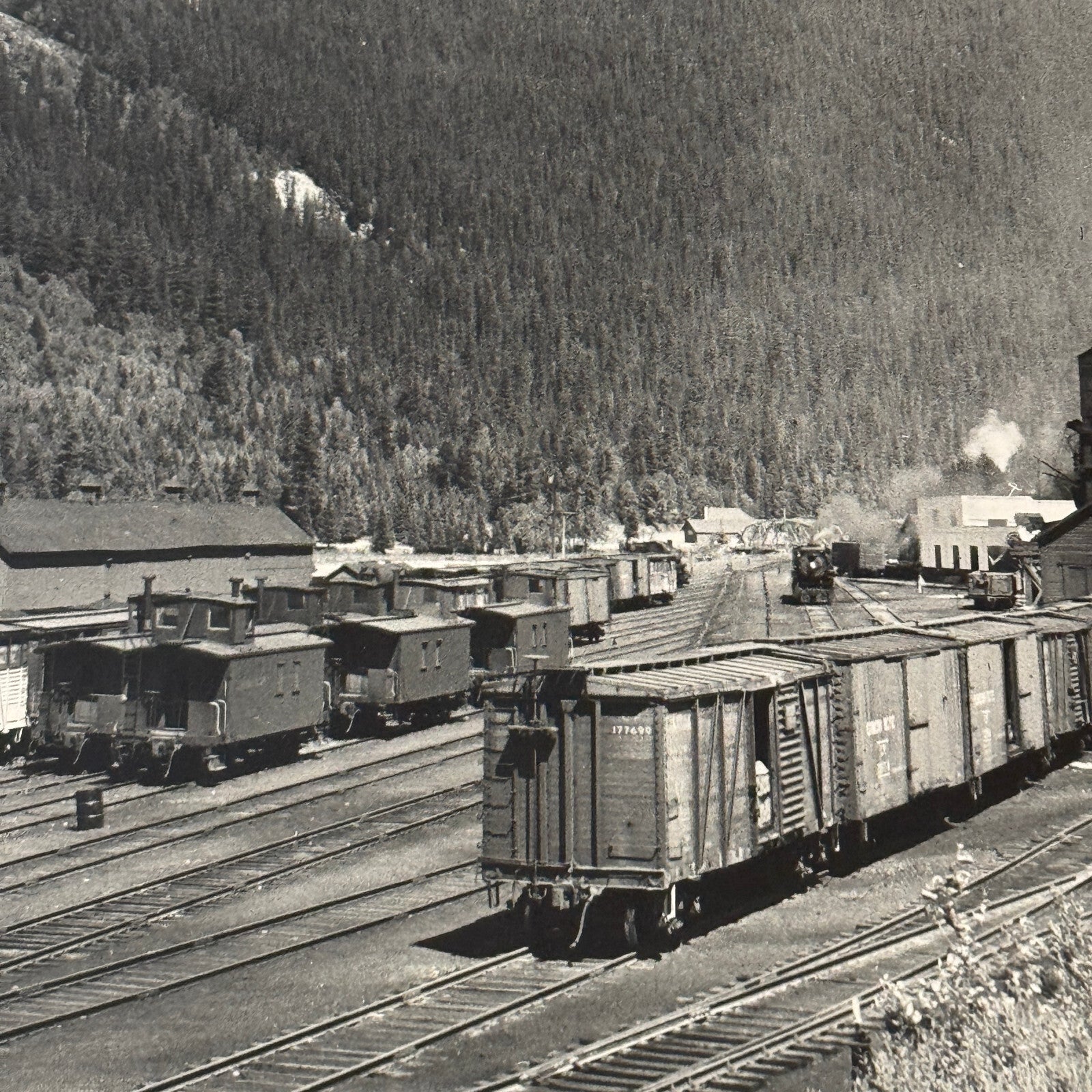 Vintage Train Railway Rail Photo Photograph CPR Yard Field British Columbia BC