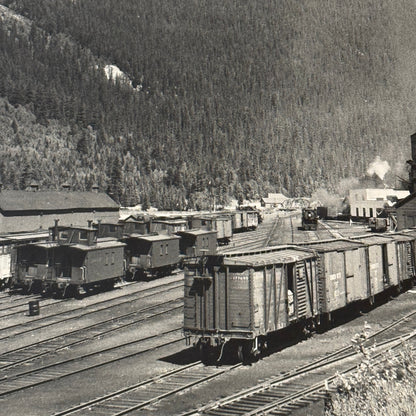 Vintage Train Railway Rail Photo Photograph CPR Yard Field British Columbia BC