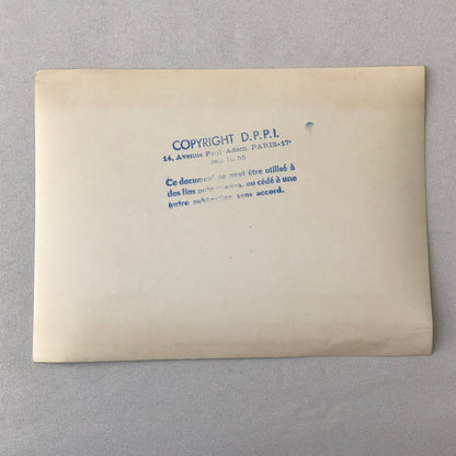 Vintage Renault Alpine Rally Racing DPPI Press Photo Photograph Print