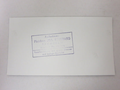 Vintage 1960s Grand Prix Racing Photo Photograph Image - Jos Reinhard 