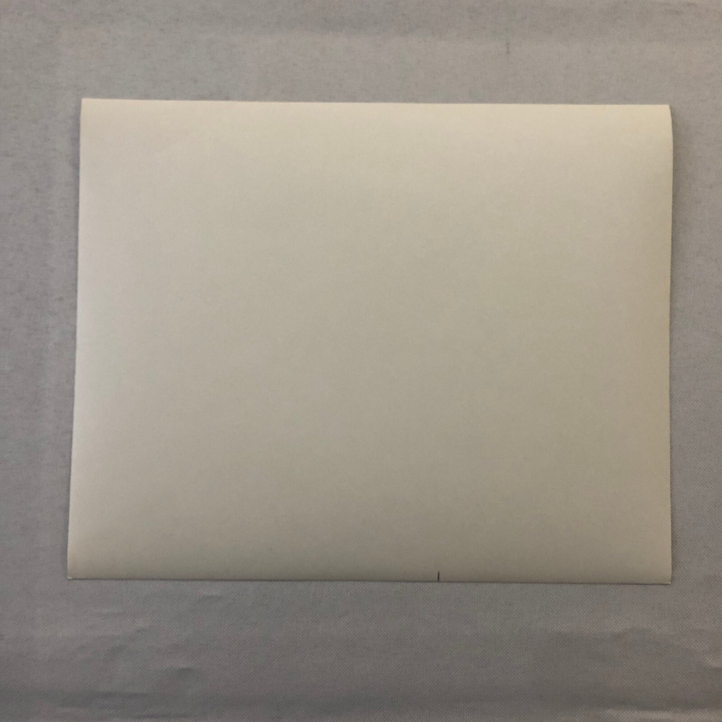 Walt Disney Fantasia Movie Film Press Photo Photograph Bacchus Beethoven