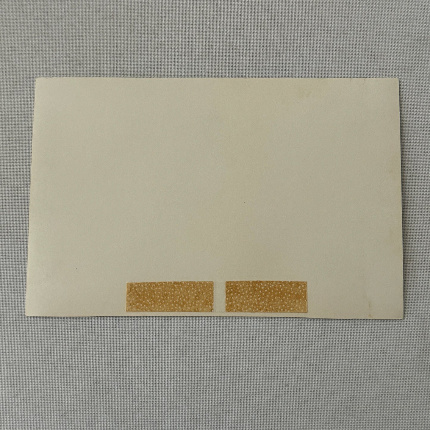 Vintage Circus Rollerskating Roller Skate Act Photo Photograph Lauren and Angelo