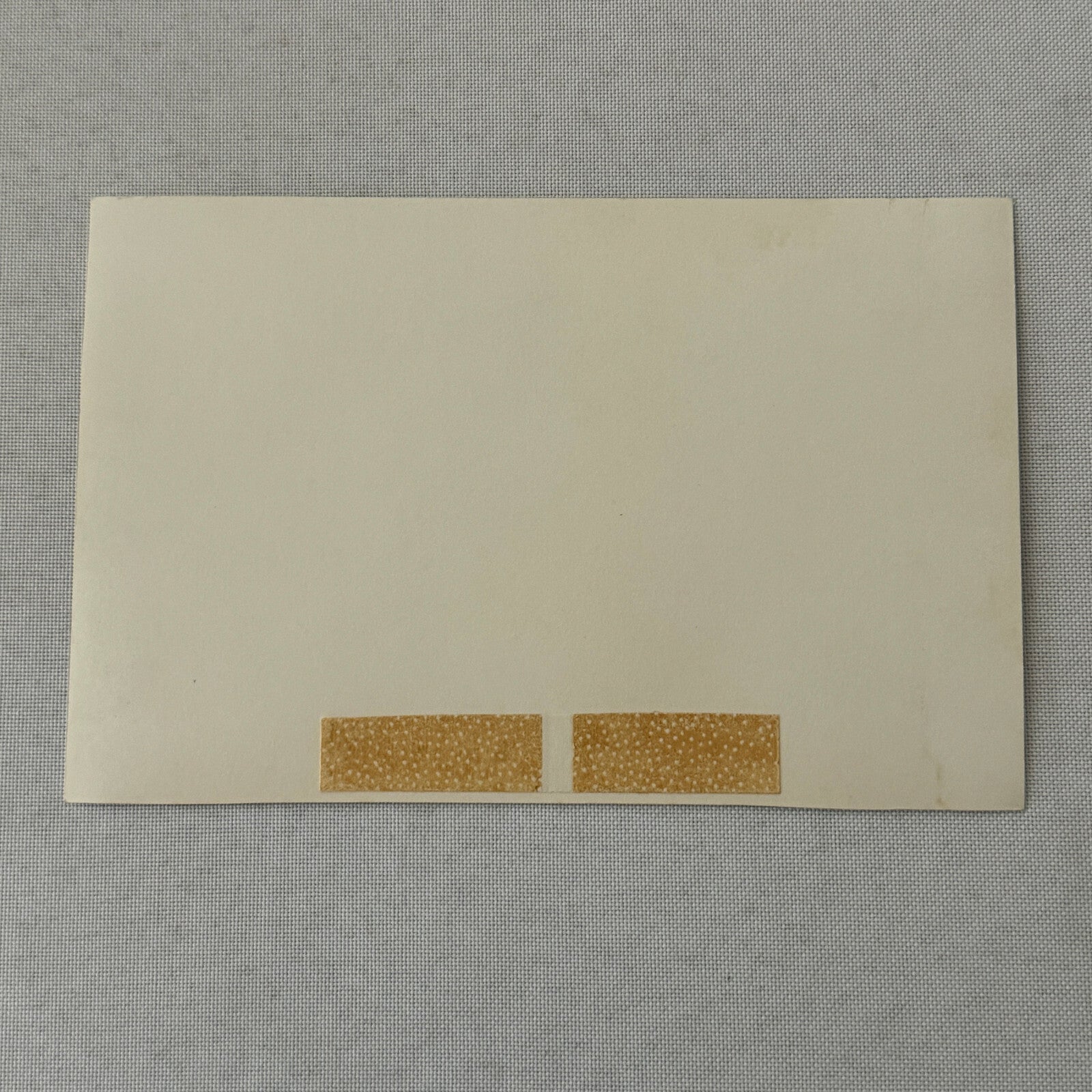 Vintage Circus Rollerskating Roller Skate Act Photo Photograph Lauren and Angelo